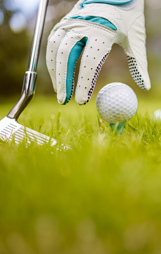 Susesi Blog Yesil Sahalar Sag D