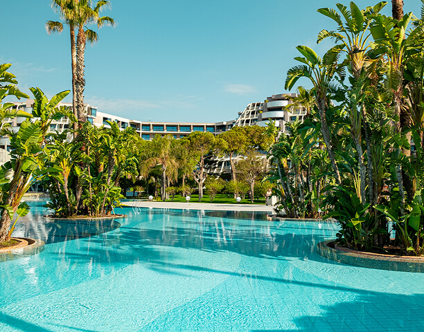 Susesi Hotels Plaj Ve Havuzlar Palmiye Havuzu Card