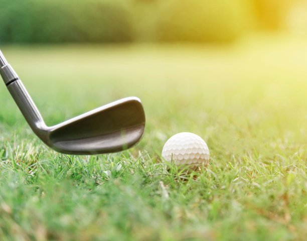 Susesi Blog Yesil Sahalar Card