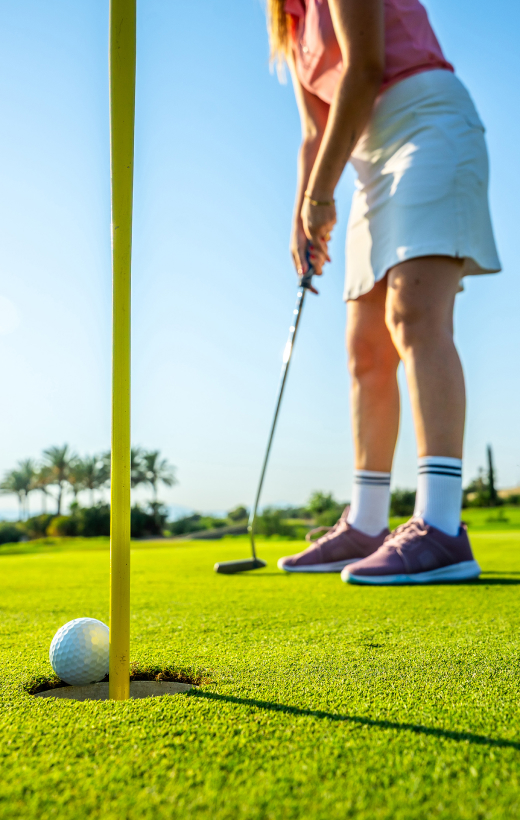 Susesi Blog Yesil Sahalar Sol D